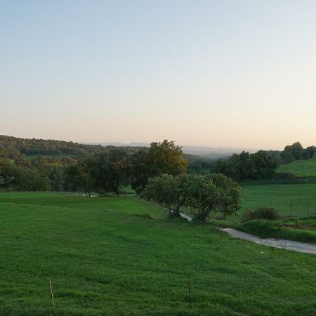 Вилла Mas Roca Del Mill Perafita Экстерьер фото